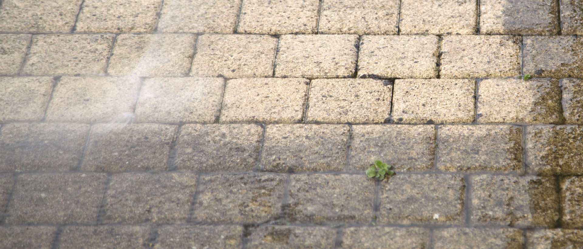 flagging and patios EN11