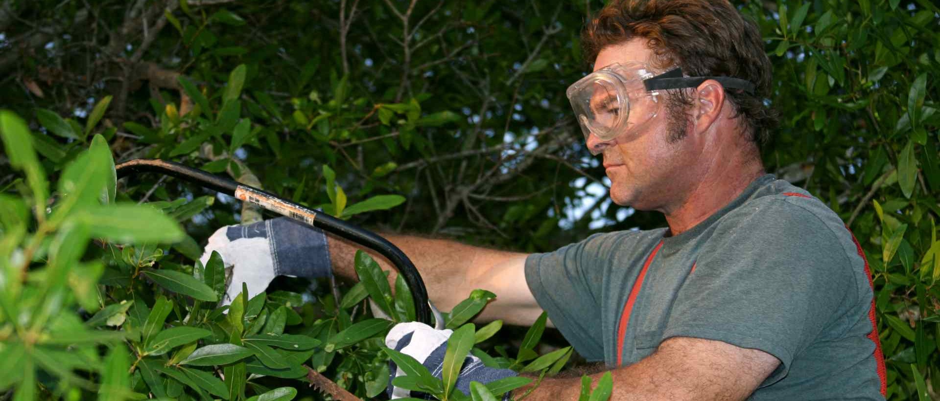 garden clearance EN11